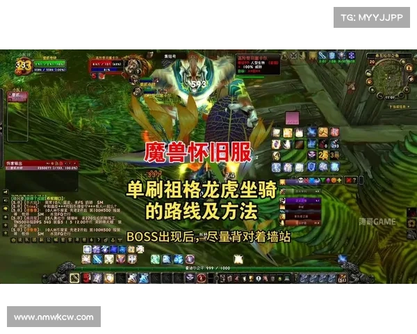 魔兽世界怀旧服：坐骑装备视频全新复制